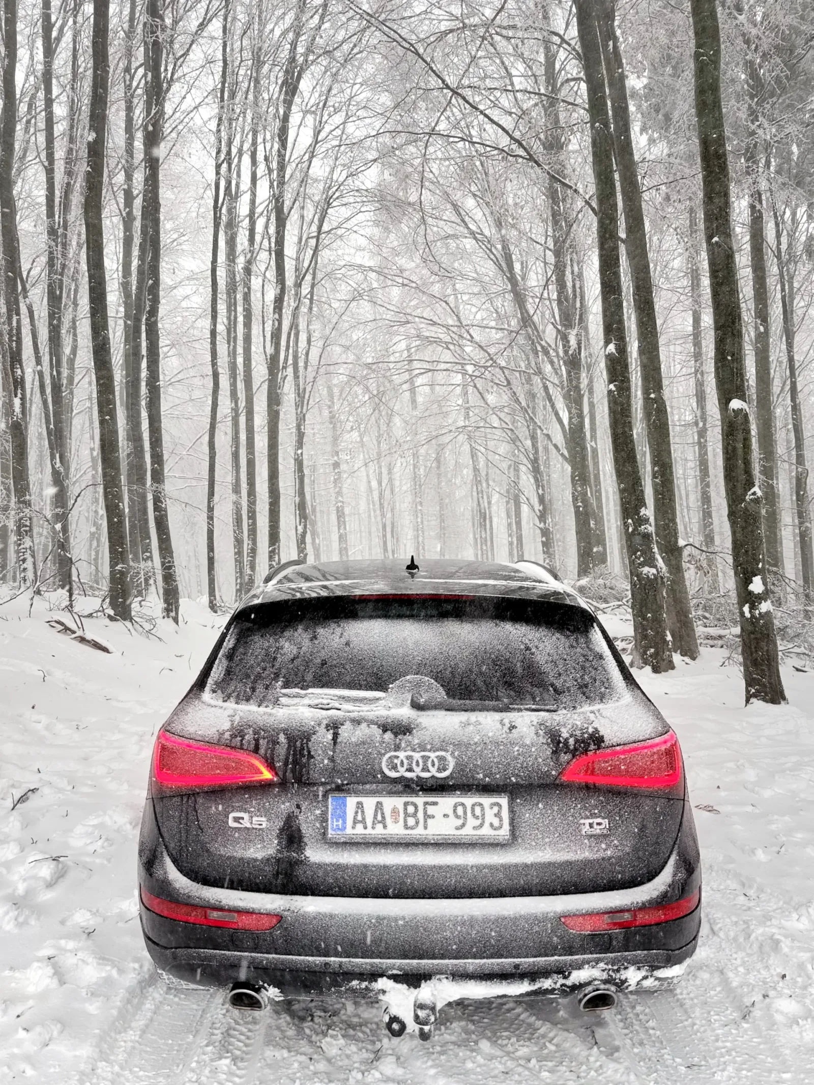 Audi Q5 S-Line 3.0 Tdi FL quattro előnézeti kép 5