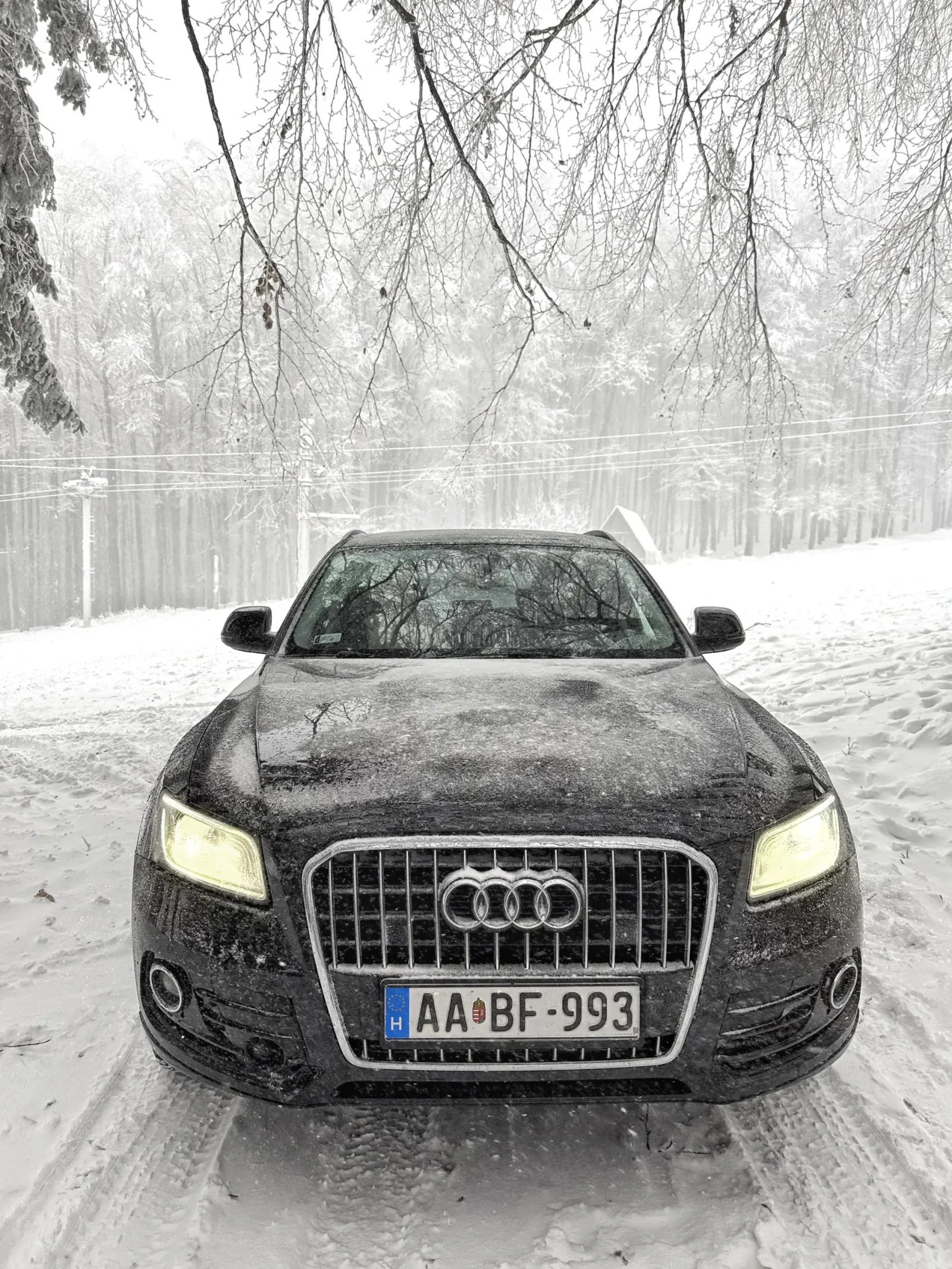 Audi Q5 S-Line 3.0 Tdi FL quattro előnézeti kép 9