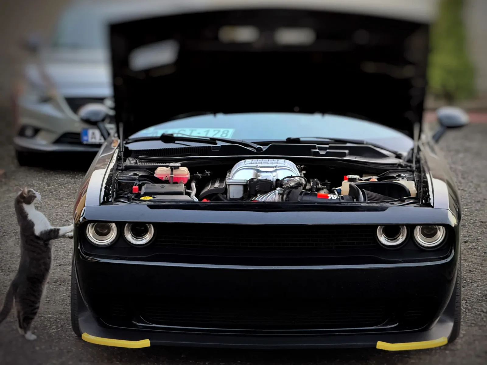 Dodge Challenger SRT Hellcat előnézeti kép 21