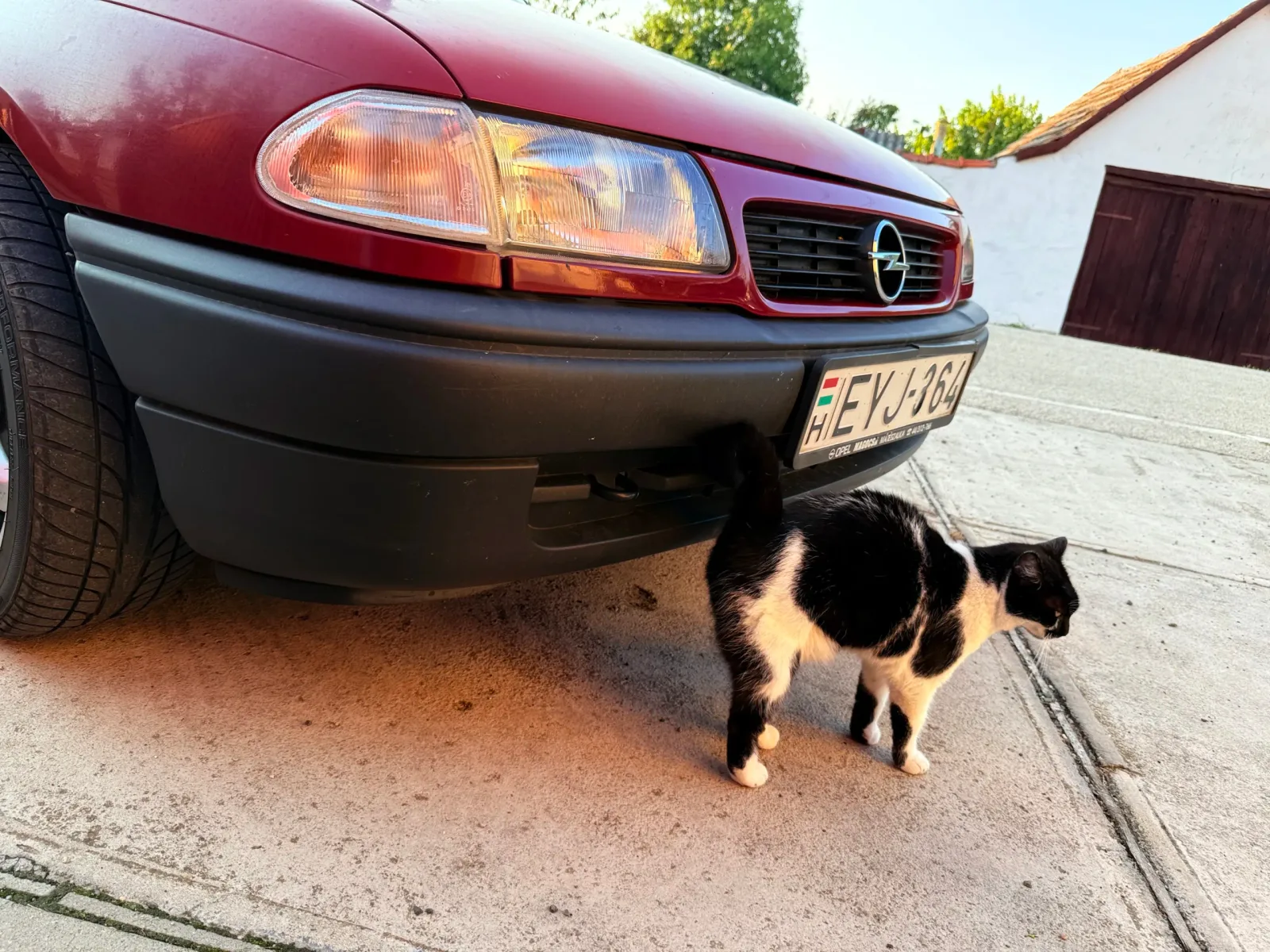 OPEL ASTRA F 1.4 GL előnézeti kép 6